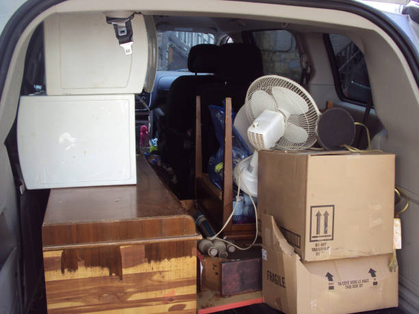 Best Demolition Debris Removal  in South Haven, MI