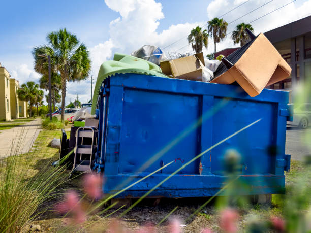Best Recycling Services for Junk  in South Haven, MI